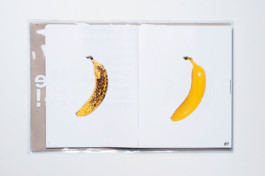 visual communication alessia pennetta