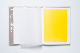 visual communication alessia pennetta