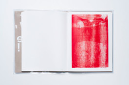 visual communication alessia pennetta