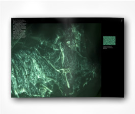 visual communication alessia pennetta