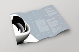 visual communication alessia pennetta