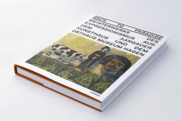 visual communication alessia pennetta