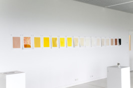 visual communication alessia pennetta