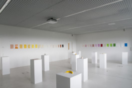 visual communication alessia pennetta