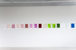 visual communication alessia pennetta