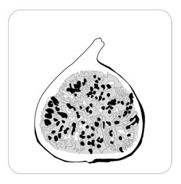 visual communication alessia pennetta