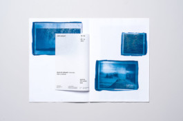 visual communication alessia pennetta