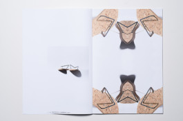 visual communication alessia pennetta