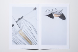 visual communication alessia pennetta