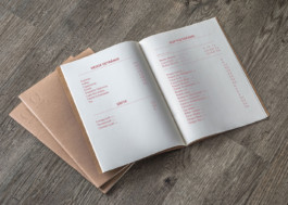 visual communication alessia pennetta