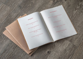 visual communication alessia pennetta