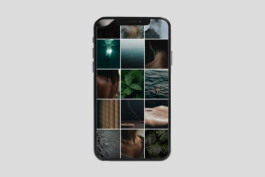 visual communication alessia pennetta