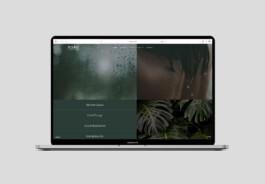 visual communication alessia pennetta